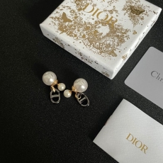 Christian Dior Earrings